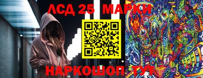 PSILOCYBIN Камышлов