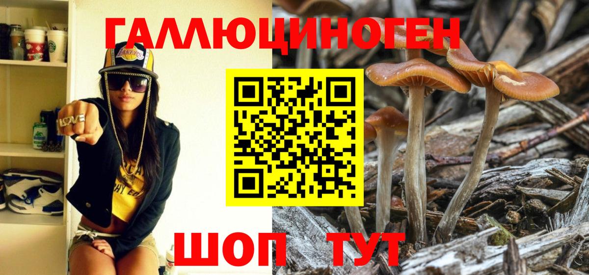 цены наркотик  Вход с VPN  Кумертау  Галлюциногенные грибы Psilocybe 