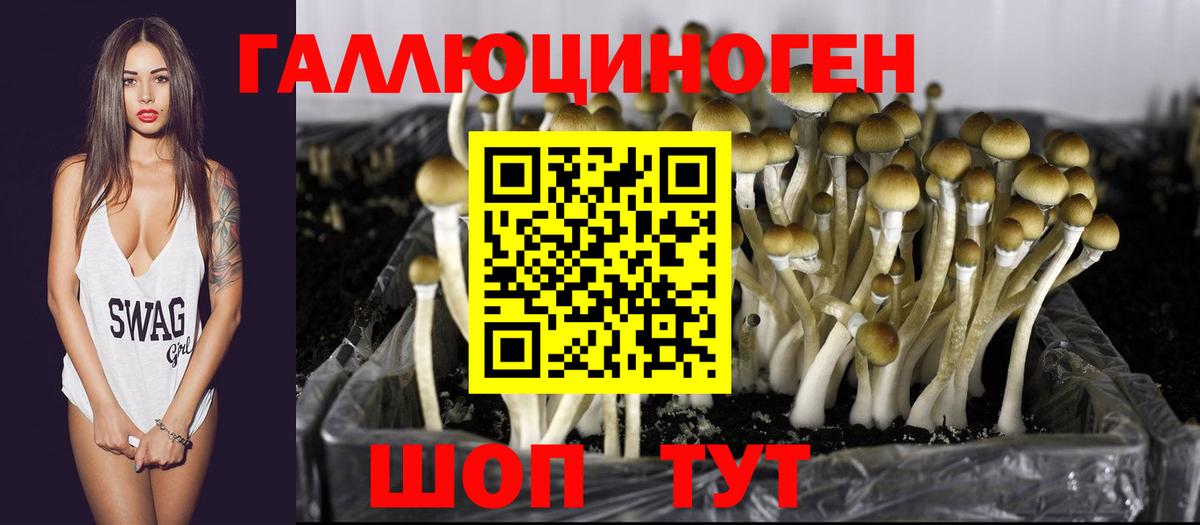 Галлюциногенные грибы Psilocybine cubensis Кумертау